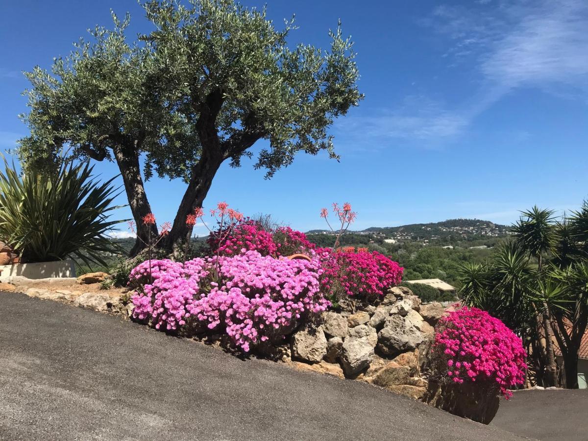 3 Bedrooms Villa near Cannes - Pool&Jacuzzi - Sea View Mandelieu Buitenkant foto